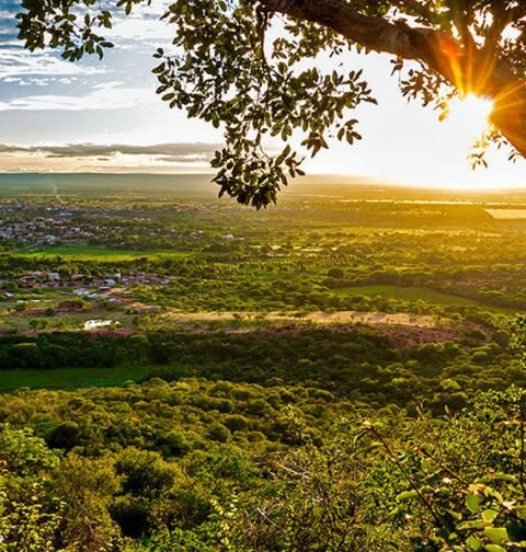 Trilha Morro da Estrela Paramirim