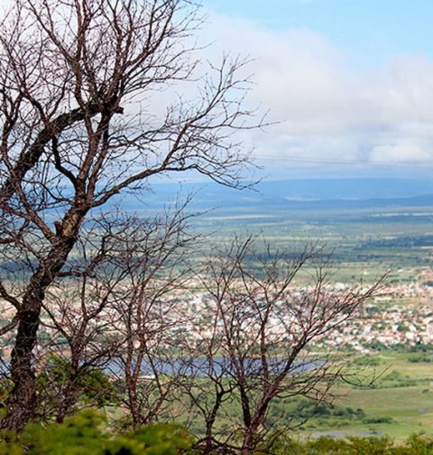 Vegetação Caatinga e Cerrado de Paramirim