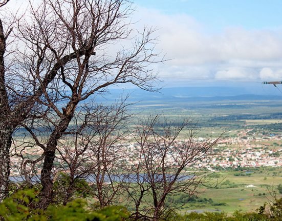 Vegetação Caatinga e Cerrado de Paramirim