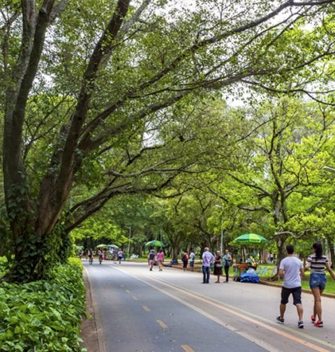 Passeio no Parque Ibirapuera