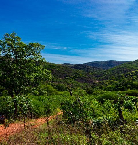 Trilha Serra do Catuaba de Paramirim