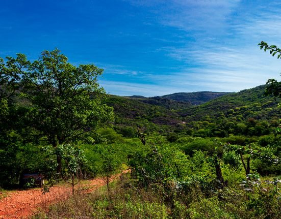 Trilha Serra do Catuaba de Paramirim