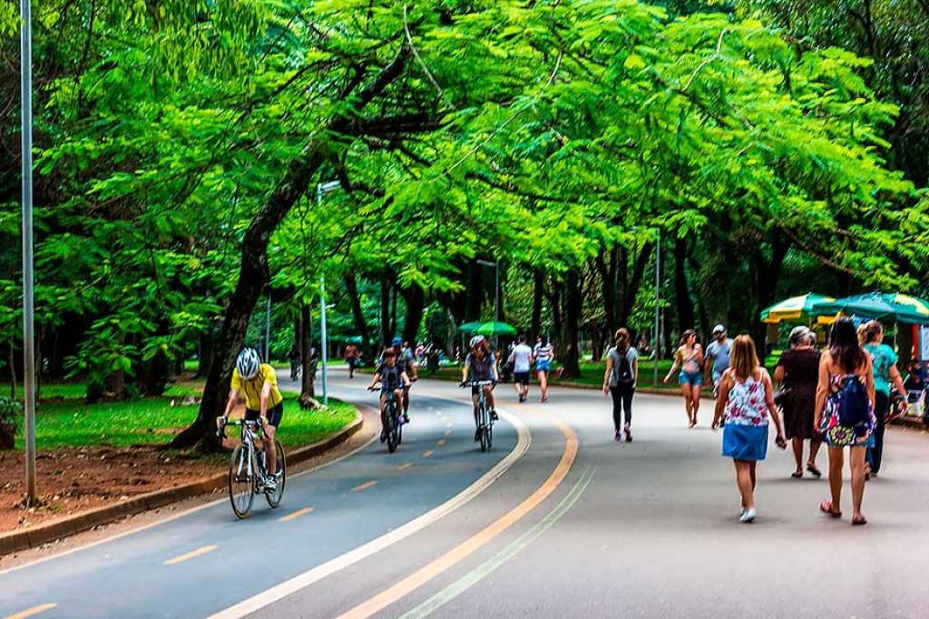 Ciclo-Faixas do Parque Ibirapuera