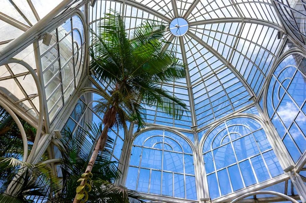 Visão interna da estufa do Jardim Botânico