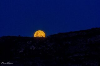 Lua cheia - Paramirim Lua cheia - Paramirim