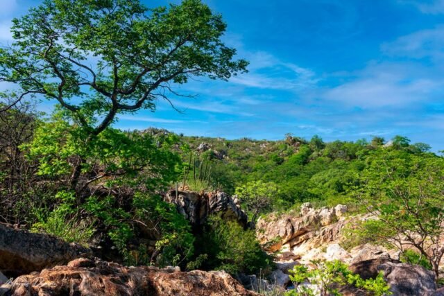 Paisagem da Serra do Catuaba - Paramirim